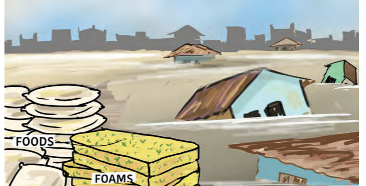 Borno Flood