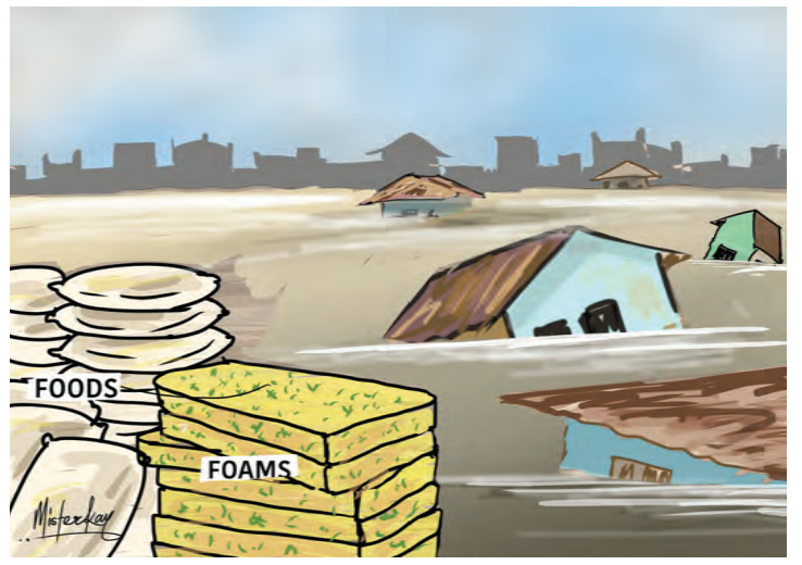 Borno Floods: Beyond Relief 1 borno flood