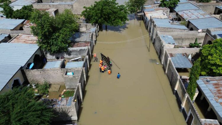 borno flood