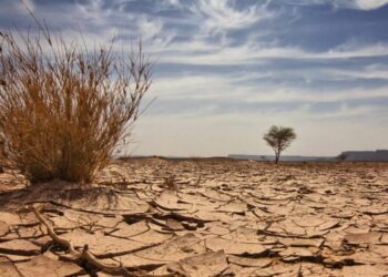 Climate Change: Nigeria’s Health, Environment And Agriculture In Peril