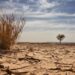 Climate Change: Nigeria’s Health, Environment And Agriculture In Peril