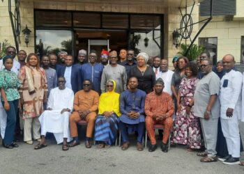 ECOWAS Group Plans $380m Power Investment In Nigeria, 18 African Countries