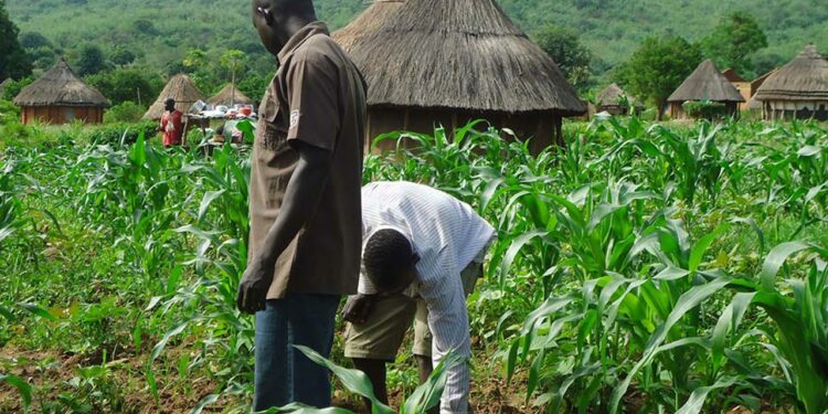 Farmers