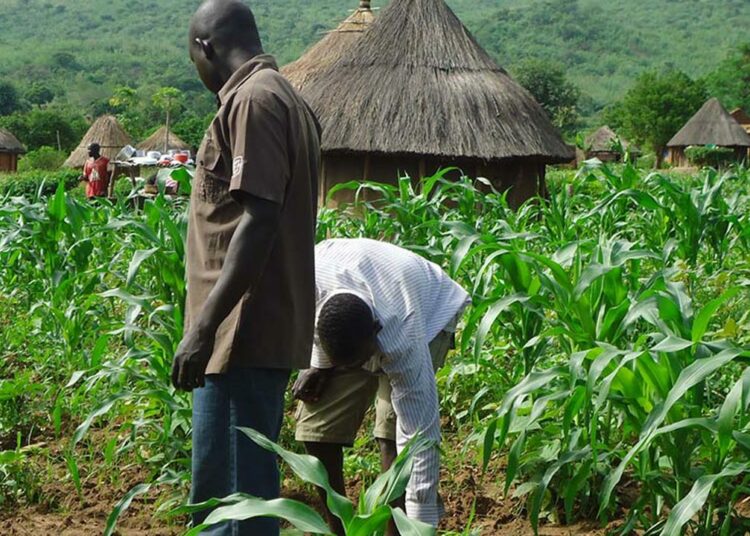 Agriculture