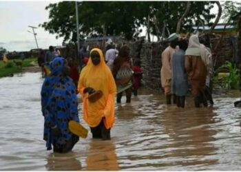 15 Dead, 32,000 Homes Damaged In Katsina Flood – SEMA