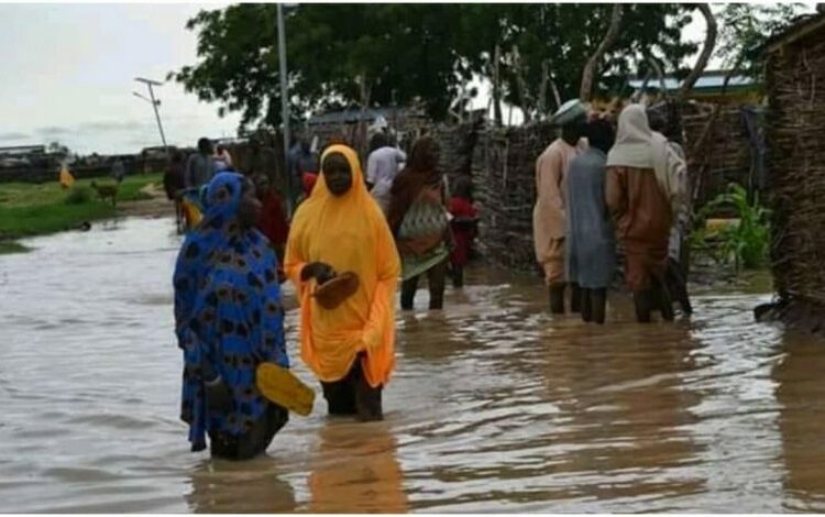 Katsina Flood