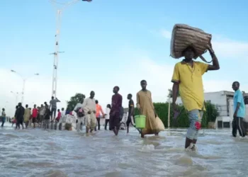 Many Still Trapped In Borno Flood