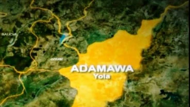Adamawa To Introduce House-to-House Inspection For Sanitation 1 images 2 20 1