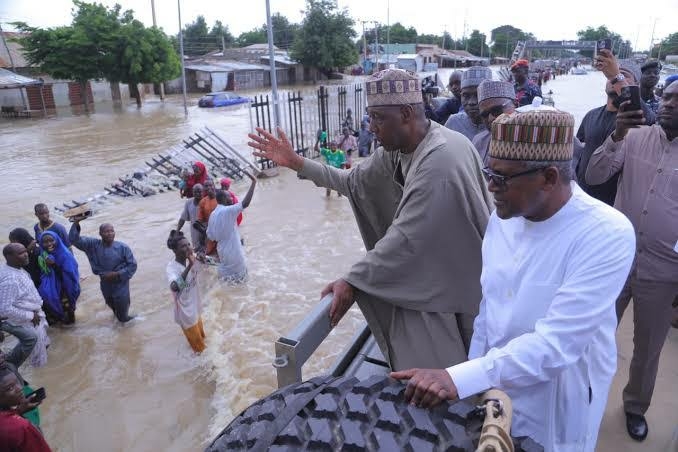 Borno Flood: Northern Youths Commend Dangote Foundation Over Donations 1 images