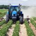 Experts Advocate Financing, Mechanisation For Africa’s Food Security 5 Experts Advocate Financing, Mechanisation For Africa’s Food Security