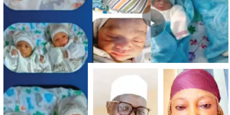 Birth Of Our 11 Babies
