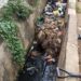 Oyo Gov’t Desilts 153km Drainages, Culverts To Curb Flooding