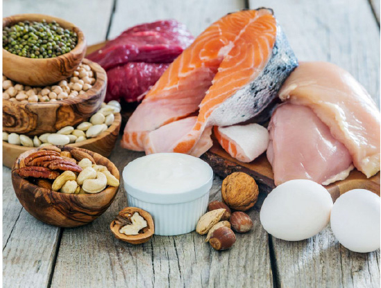 protein