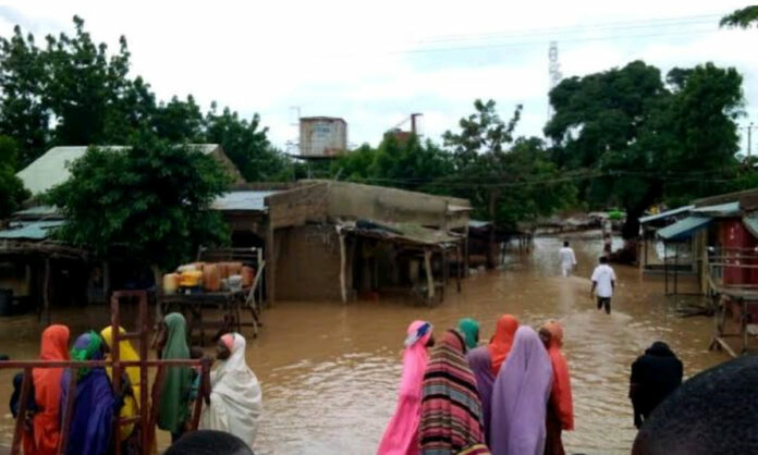 SEMA Seeks Support For Jigawa Flood Victims 1 unnamed 1 696x418 1