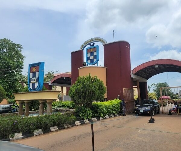 Olanipekun, Dabiri-Erewa For ABUAD Award As 229 Graduates Get First Class 1 Afe Babalola University ABUAD