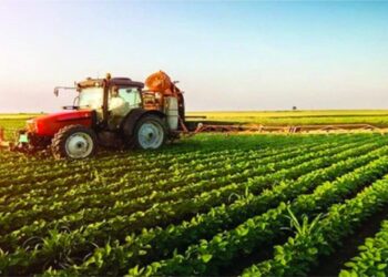 ‘Agriculture Can Position Nigeria As Leader In Africa’s Agro-industrial Landscape’