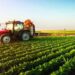 ‘Agriculture Can Position Nigeria As Leader In Africa’s Agro-industrial Landscape’ 5 ‘Agriculture Can Position Nigeria As Leader In Africa’s Agro-industrial Landscape’