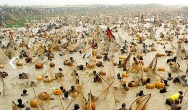 Kebbi To Hold Argungu Int'l Fishing Festival 2025