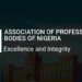 Professionals Must Support Good Governance, Says APBN 5 Professionals Must Support Good Governance, Says APBN
