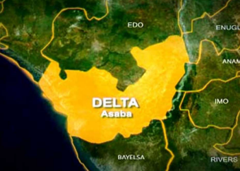 Delta Govt Resolves Lease Of Land Dispute Among SPDC, Families, Community