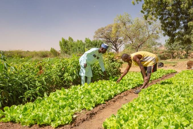 FARMERS