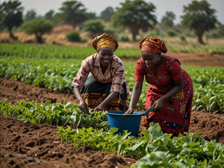 Farmers