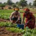 CFL Group To Tackle Hardship Through Agriculture