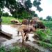 PICTORIAL: Flood Displaces 80 Households In Plateau Community