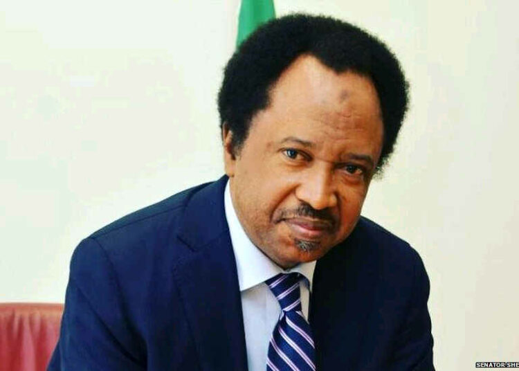 Senator Shehu Sani