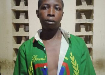 Police Rearrest Another Escaped Convict From Borno Prison
