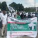Steer Clear From Rigging, Violence During Cross River LG Polls, IPAC Warns Electorate 