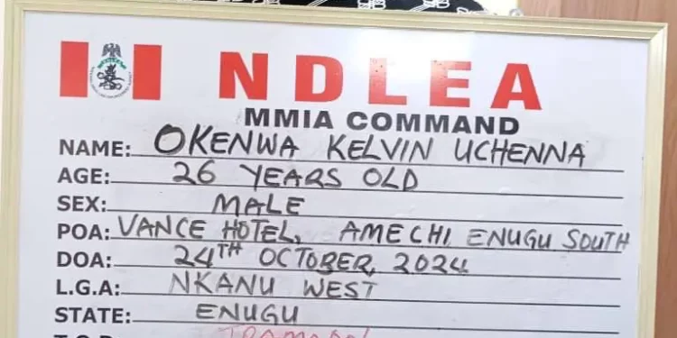 NDLEA