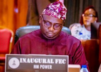 Power Restoration To Northern States Underway — Adelabu