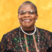 Ezekwesili Calls For Systemic Governance Reforms In Africa 5 Ezekwesili Calls For Systemic Governance Reforms In Africa