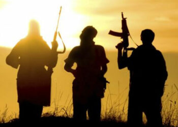 Terrorists Kill Guard, Raze Customs Vehicles In Yobe