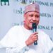 We Must Rebrand Nigeria, Says Information Minister