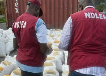 NDLEA Arrests Suspected Cocaine Trafficker In Katsina