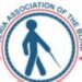 Blind, Visually Impaired Person Are Also Human – Leader
