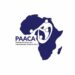2027 Election: Internal Tussles May Influence Performance Of Political Parties – PAACA