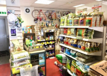 Lucrative Pet Business Ideas