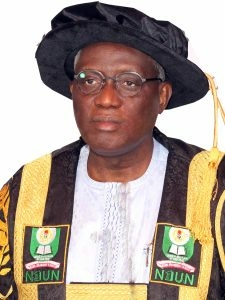 NOUN VC, Others Caution Against Fake News 1 Prof. Olufemi A. Peters Vice Chancellor National Open University of Nigeria 225x300 1