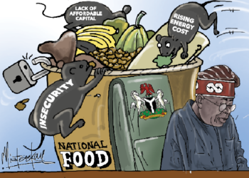 Thoughts On Nigeria’s Food Insecurity