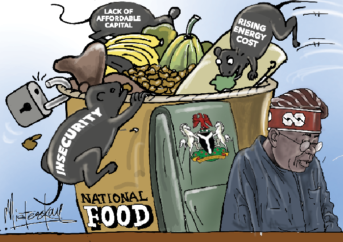 Thoughts On Nigeria's Food Insecurity 1 Screenshot 2024 10 07 062010
