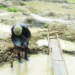 Osun State Government, Segilola Project Flex Muscles Over Gold Mine, While Community Languishes