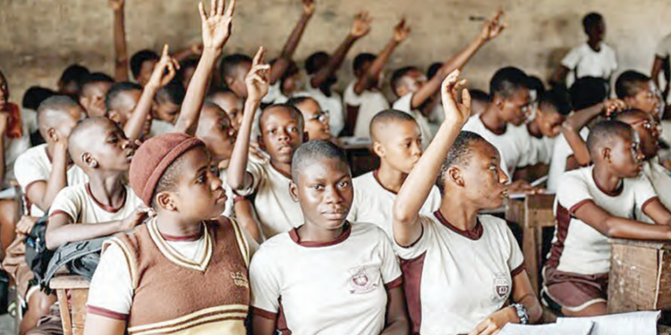 New School Curriculum