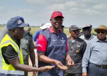 Food Security: Nasarawa Commences Harvest Of 10,000 Hectares Rice Farm 