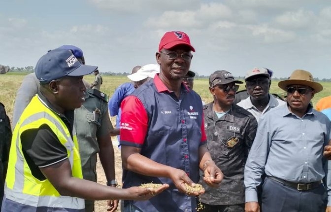 Food Security: Nasarawa Commences Harvest Of 10,000 Hectares Rice Farm 1 Screenshot 20241024 132116 1 672x430 1