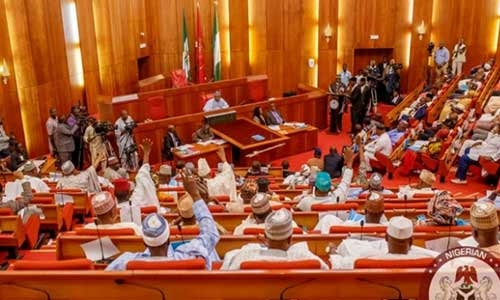 Senators Clash As PDP Challenges Nwoko’s Defection To APC 1 Senate 1