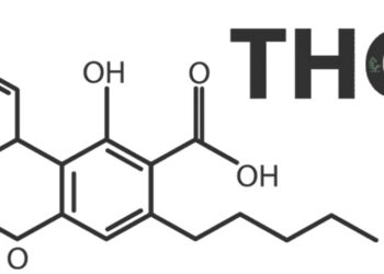 What To Look For In A THCA Pre-Roll