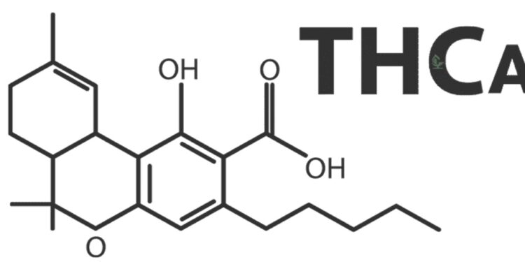 THCA Pre-Roll